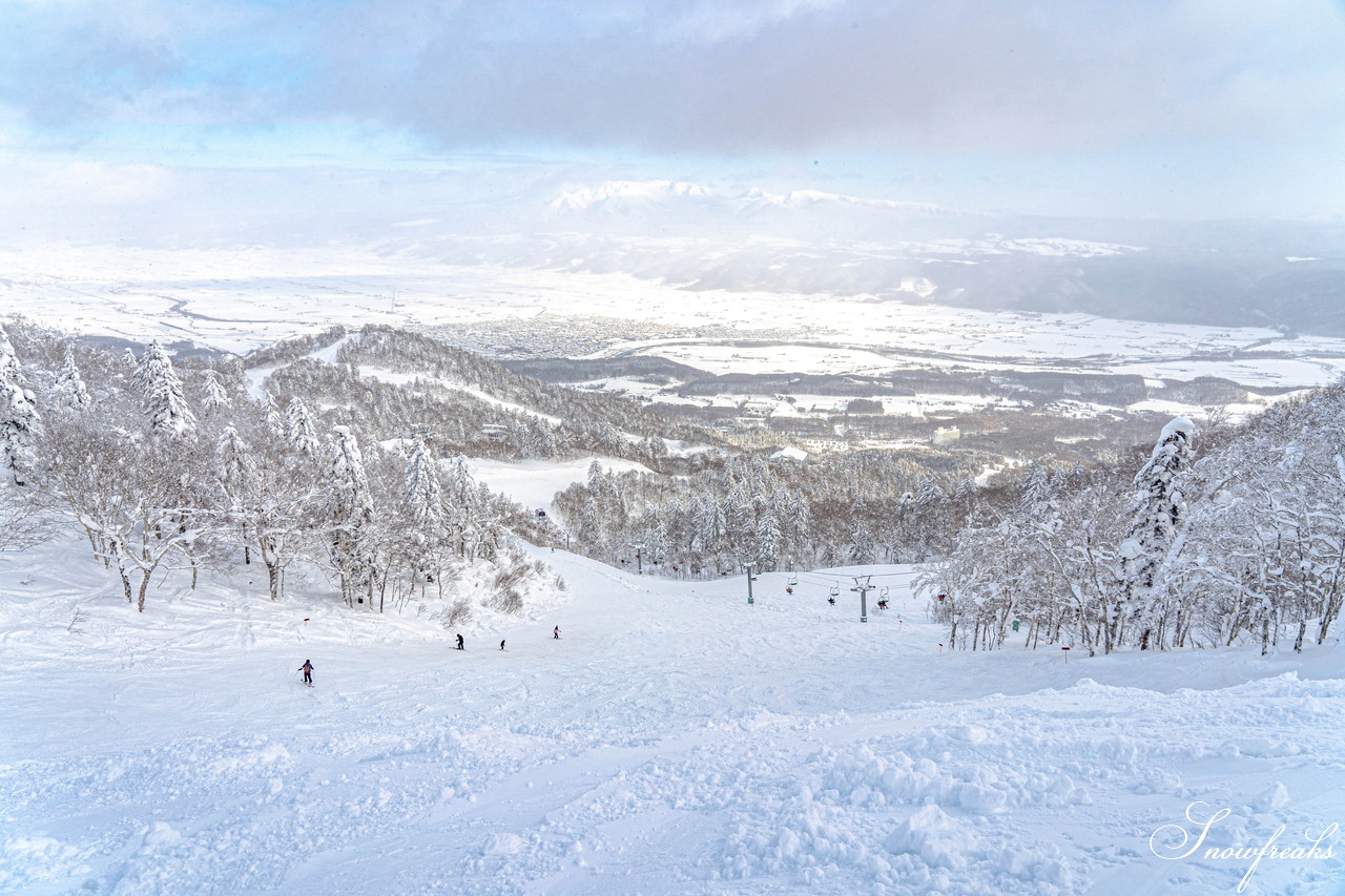 富良野スキー場　気温 -14℃。ダイヤモンドダストが煌めく、国内屈指のリゾートゲレンデを堪能♪